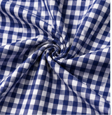 Blue & White Check  Shirt Fabric