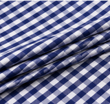 Blue & White Check  Shirt Fabric